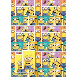 Danilo Despicable Me Wrapping Paper, Despicable Me Gift Wrap 2 Sheets Of Gift Wrap And 2 Gift Tags