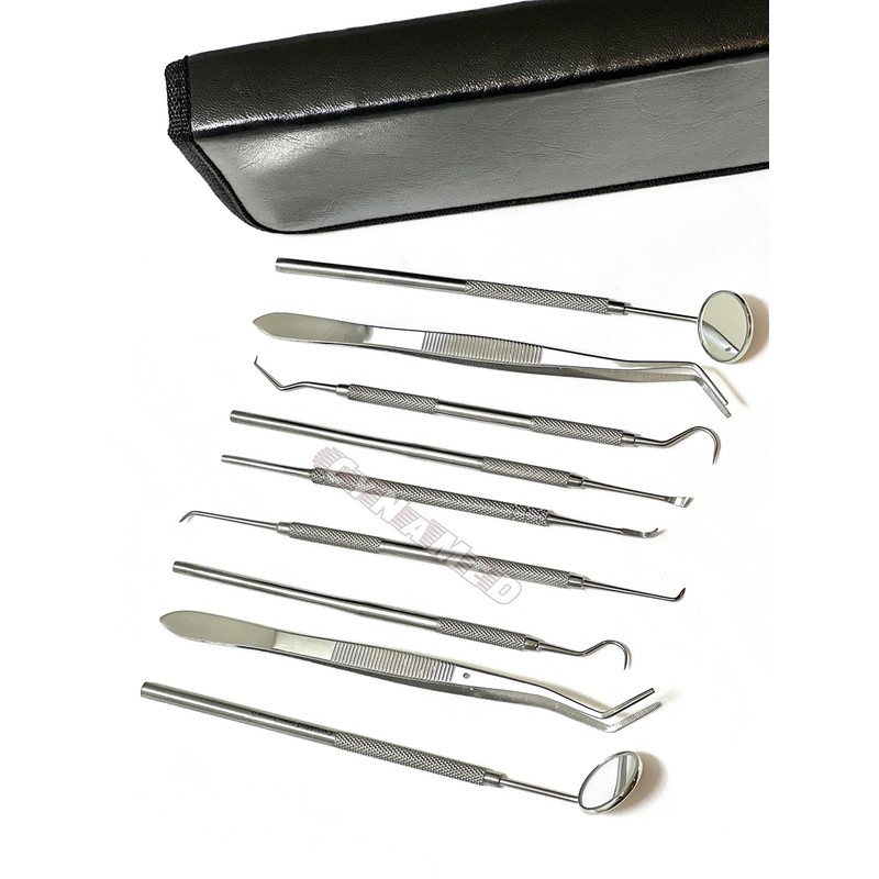 Premium German Dental Scaler Pick Stainless Steel Tools with Inspection