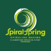2 Bolsas De 500 Tab Spirulina Spiralshake(cacao Spirulina)