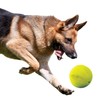 Nerf Dog Rubber Ball Dog Toy with Squeaker, Lightweight, Durable