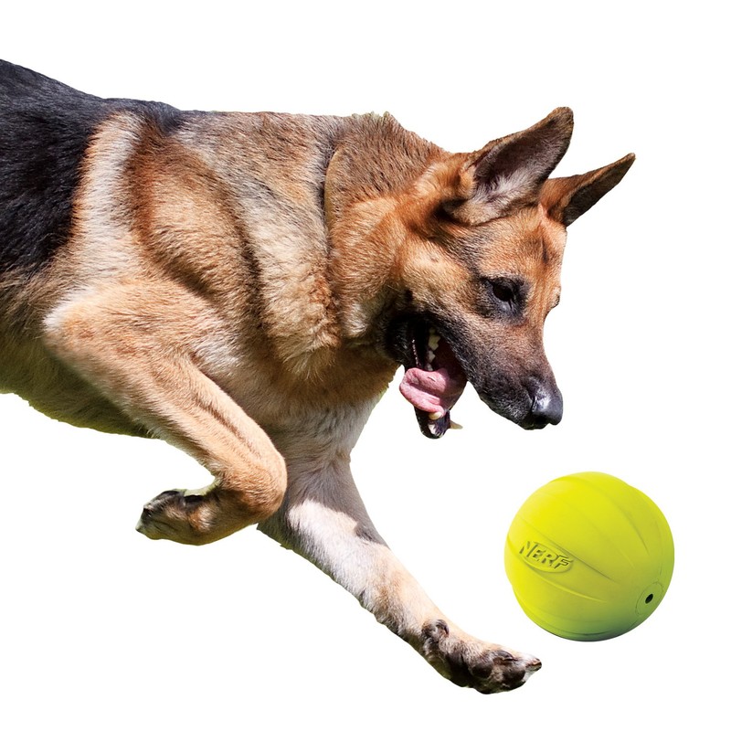 Nerf Dog Rubber Ball Dog Toy with Squeaker, Lightweight, Durable