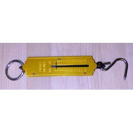 Format 4030884805152 – taschenfederwaage 25 kg kilo/Kilo
