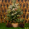 WEGRASY Firecracker Fairy Lights Plug in,33ft 300LEDs Green Wire Cluster
