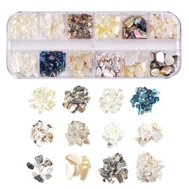 HappyHome Nail Parts, Seashell Tips, 12 Types, Nail Art, Shelf Lake, Resin Parts, Gel Nails, Shell Parts