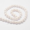 Ornazy 5 Strand 10mm White Shell Pearl Beads Round Loose