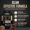 Animal Whey Isolate Protein Powder - Loaded for Pre &