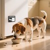 Dogs Feeding Reminder Sign with Magnet, Pet Feeding Tracker with