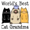 CafePress World's Best Cat Grandma Square Car Magnet, Magnetic Bumper