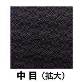 NT（エヌティー） ドレッサー 中目 S－10P