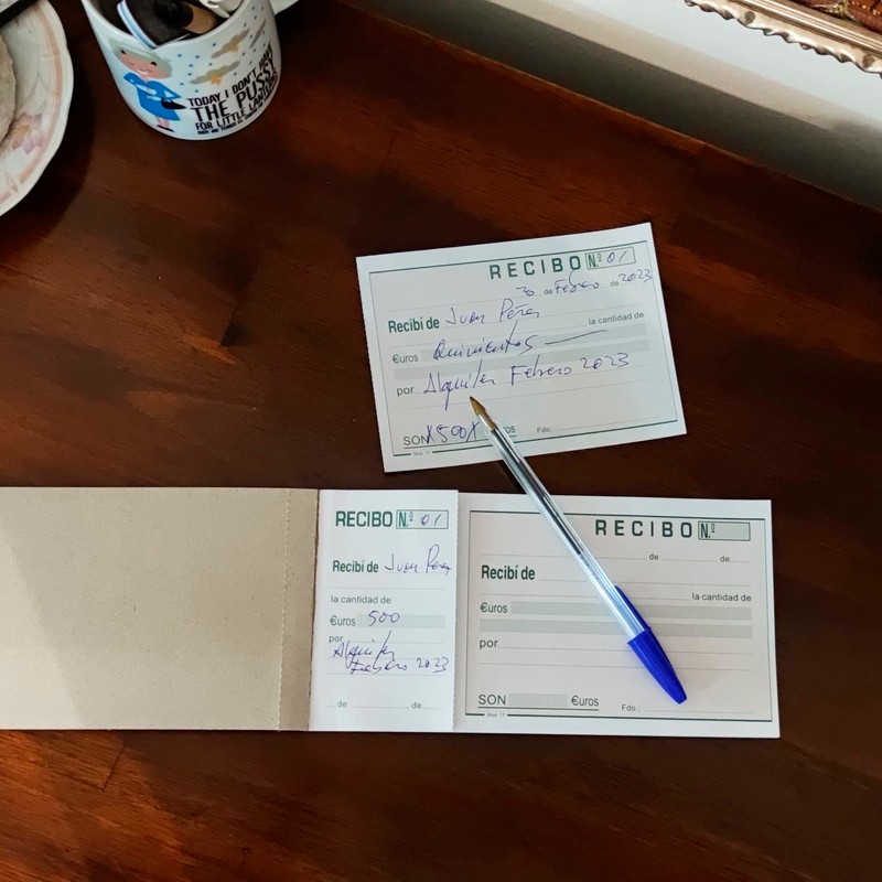 100-Sheet Payment Receipt - Shopping Receipt Pad with Punched Protection,