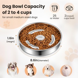 Teenyyou 2 Pack Slow Feeder Dog Bowls Stainless Steel 2 Cups Dog Dishes to Slow Down Eating Non Slip Double Sided Slow Eat Dog Bowl Metal Dog Food Bowls for Small Medium Sized Dogs or Cat