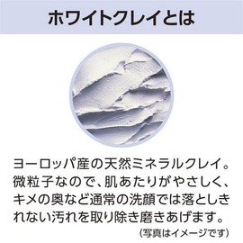 Senka Cleansing Perfect White Clay Facial Cleanser 120g