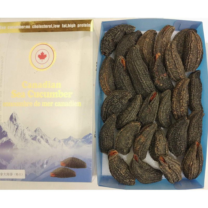Arctic Dried Sea Cucumber (25)