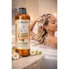 Shampoo Manzanilla Rayos Gold Aclarante Labs Ncredible Brillo Extra Aminexil
