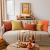 ANRODUO Pack of 2 Rust Chenille Throw Pillow Covers 18x18