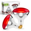 KOR 250W R40 Red Incandescent Heat Lamp Bulbs, E26 Medium