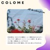COLOME PURPLE Coloring Supplies, Purple Murashan