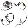 Annpee Kick Start Dirt Pit Bike Wire Harness Wiring Loom