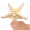 Kichvoe Pack of 4 Beach Star Hair Clips Starfish Hair