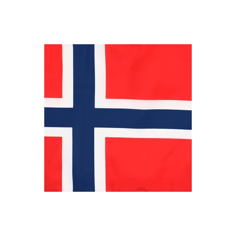 AZ FLAG Norway Flag 18'' x 12'' cords - Norwegian