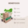 Jabón Árbol Verde Exfoliante Vegano Corporal 100 Gr