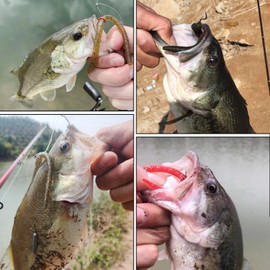 LAIBOREC Senko Bait, 12PCS Fishing Soft Plastic Lures, 5.71inch Worms Bass Fishing Lure Kit Rubber Stick Baits with Salt for Wacky Rig Saltwater Freshwater