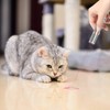 TBTeek Cat Toys for Indoor Cats, 2 Pieces, Rechargeable, 7