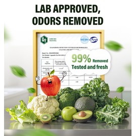 FLAWNT Refrigerator Deodorizer - Long Lasting Fridge Odor Eliminator and Smell Absorber, No Need Baking Soda Replacement, Works as Freezer Freshener & Organizer Accessory Green