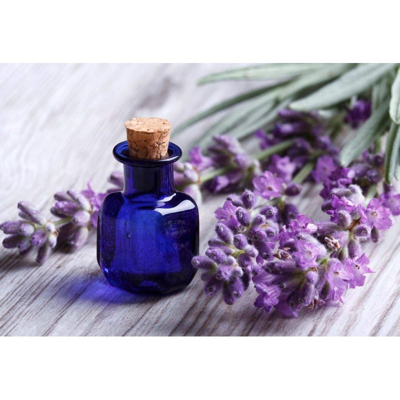 Seeds Lavender Herbs Garden for Planting Non GMO