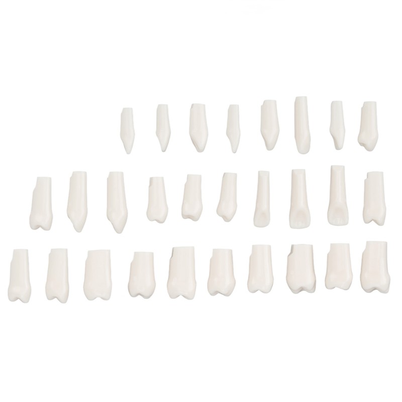 28Pcs Removable Teeth Piece Durable Plastic Removable Design False Teeth
