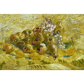Tile Mural Still Life Fruits Quince Lemons Pears and Grapes by Vincent Van Gogh Kitchen Bathroom Shower Wall Backsplash Splashback 3x2 4.25" Ceramic, Glossy