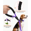 Joytale Dog Leash for Small Dogs, Heavy Duty Nylon Leashes