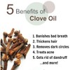 Clove Oil (Syzygium aromaticum) 100% Pure & Natural Undiluted Uncut