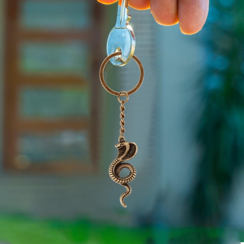 Holibanna Snake Keychains Gothic Keychains 6pcs 2025 Chinese Snake Pendant