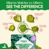 Matcha Supergreens Blend – Ceremonial Green Tea Powder with Spirulina,