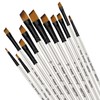 Silithus Paint Brushes 12 Pieces Set, Professional Fine Tip Paint