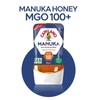 Capilano 카필라노 마누카 MGO 100+ 250g Capilano Manuka MGO 100+ 250g