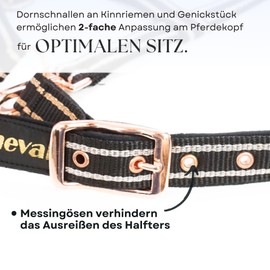 Halter for Horses with Glitter in Rose Gold, Halter Horse in Black and Pink, 2-Way Adjustable (Black Rose Gold, Shetland Pony (Shetty))