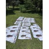 SUPREME‼Tyler The Creator FW24 Street Advertising Campaign Poster‼10 AVAILABLE