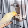 Paquete de 2 comederos automáticos para pájaros, alimentadores de loros,