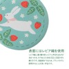 Kutsuwa DE014C Brooch Clip Blop Strawberry Field and Rabbit