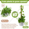 Sukh Moss Totem Pole - Moss Pole for Plants Monstera