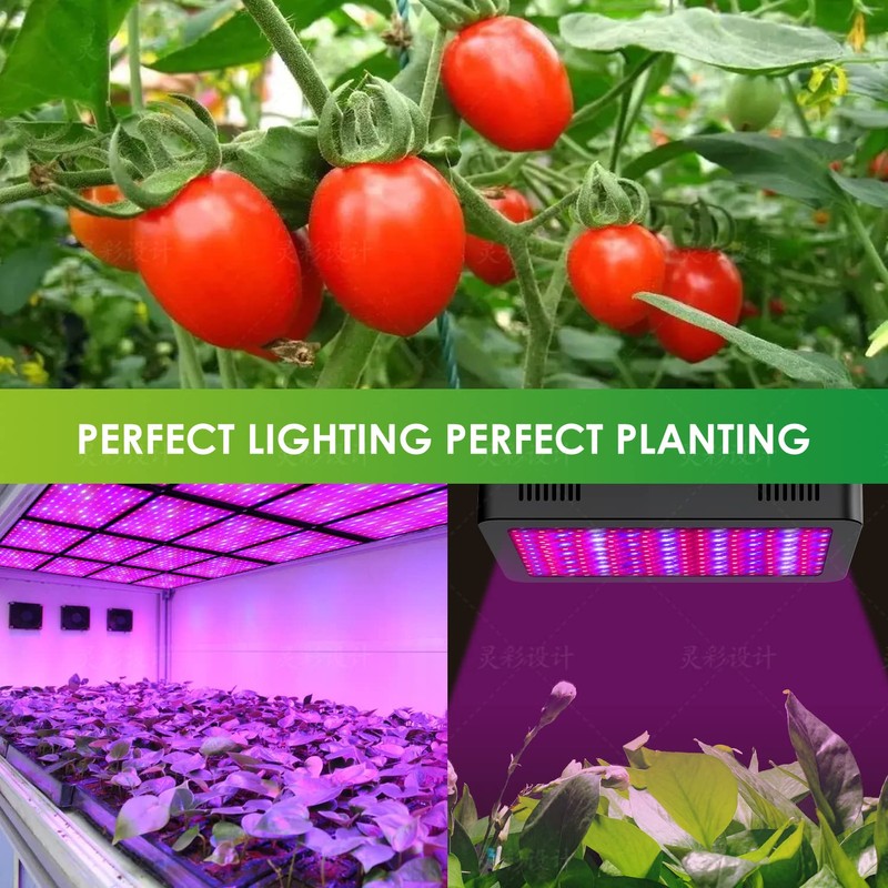 2000W LED Grow Light, Full Spectrum Plant Light with Daisy