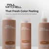 Paul Mitchell Color Protect Locking Spray, Maintains Vibrancy + Adds