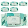 The Saem Garden Pleasure Cica Cleansing Tissue, 100 sheets, 6 pcs / 더샘 가든 플레져 시카 클렌징 티슈, 100매입, 6개