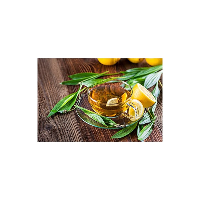 Mynatura Organic Plantain Cut I Dried I Tea I Lung