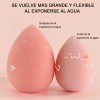 Wegalife® Kit De Esponja Para Maquillaje Con Brochas Kabuki Para