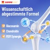 Joint Fit SonneSee Glucosamine + Chondroitin 1500 mg 16 Times