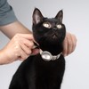 BuddyArmor Safety Cat Collar Pro Airtag Holder Set, US IDA