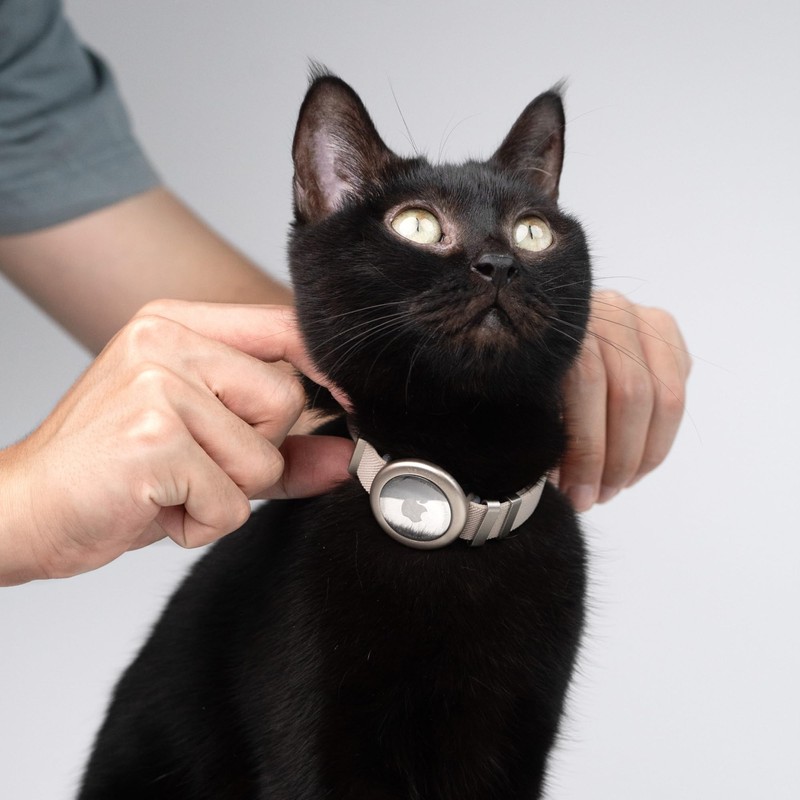 BuddyArmor Safety Cat Collar Pro Airtag Holder Set, US IDA